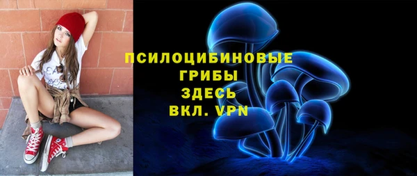 мдпв Болхов