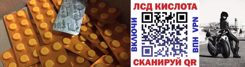 купить   Жердевка  Лсд 25 экстази кислота 